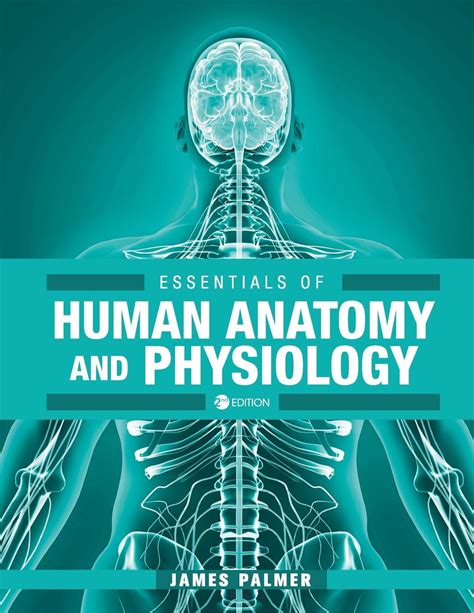 Essentials of Human Anatomy and Physiology (Paperback) - Walmart.com - Walmart.com