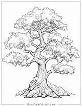 Free Coloring Pages Trees A World Of Colors Awaits sketch template