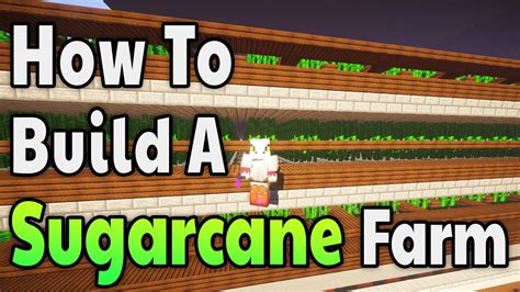 Hypixel Skyblock - How To Build An Efficient Sugarcane Farm - YouTube