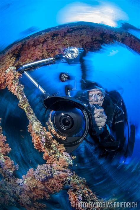 How To Get Started In Underwater Photography | Underwater photography, Scuba diving photography ...