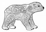Young Bear And Motifs  Bears Cubs Coloring Pages Page sketch template