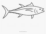 28 Best Ideas For coloring  Tuna Fish Coloring Page sketch template