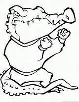 Alligator Animal Coloring Pages sketch template