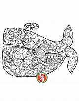 Blue Whale Coloring Pages Printable sketch template