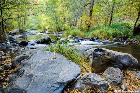 Autumn hiking in Oak Creek Canyon – Flagstaff Altitudes