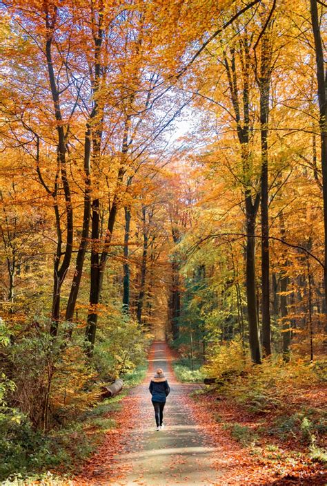 Practicing Mindful Walking – The Spiritual Naturalist Society