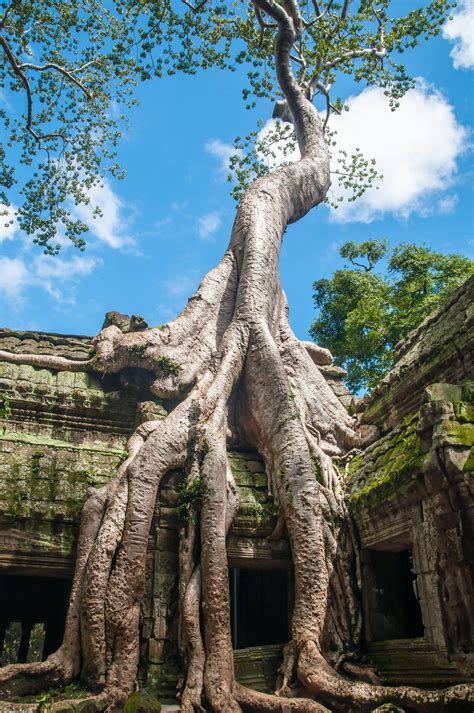 11 Best Temples In Siem Reap To See In Cambodia - Hand Luggage Only - Travel, Food & Photography ...