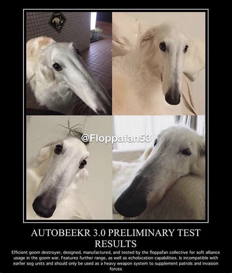 Snoot | Long Face Dog / Borzoi | Know Your Meme