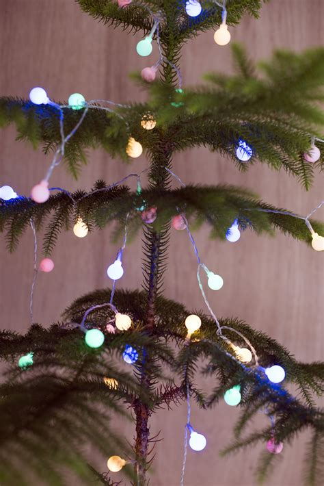 Photo of Christmas tree with christmas lights | Free christmas images