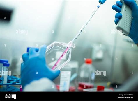 cell culture media Stock Photo - Alamy