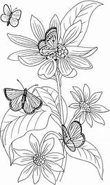 Easy Flower Coloring Pages For Adults sketch template