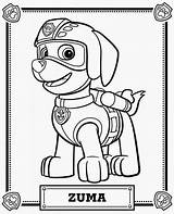BAUZINHO DA WEB  BAÚ Desenhos da Patrulha Canina Para Colorir sketch template