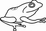 Tree Frog Coloring Pages  Free Download On ClipArtMag sketch template