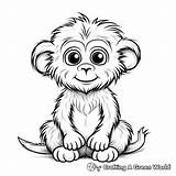Baboon Coloring Pages  Free & Printable sketch template