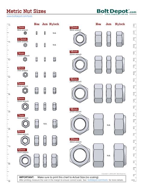 Nut Size Chart: 10 Essential Sizes To Know