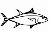 40  Tuna Coloring Pages Free Printable PDF & Online sketch template
