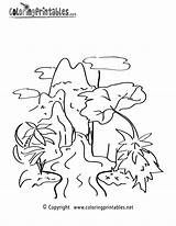 Layers Of Amazon Rainforest Coloring Pages sketch template