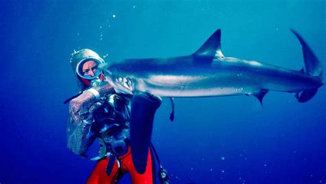 National Geographic Nabs Documentary 'Playing with Sharks' (Exclusive) | Hollywood Reporter