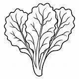 Swiss chard Vegetable Outline coloring Book page Line Art Drawing  sketch template