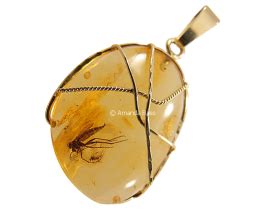 A Prehistoric Insect is Amazingly Captured in this Authentic Amber Pendant | Amber fossils ...