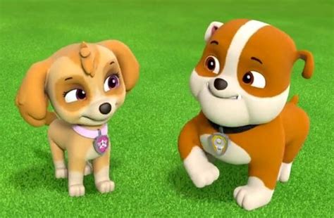 Rubble & Skye | Paw Patrol Relation Ship Wiki | Fandom