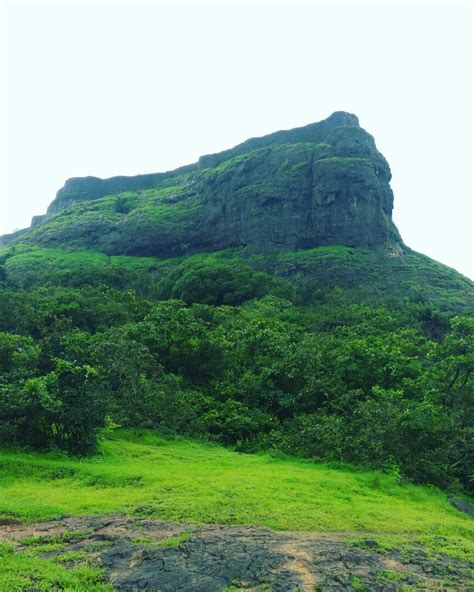 Shrivardhan rajmachi fort lonavala maharashtra | Places to travel, Nature lover, Fort