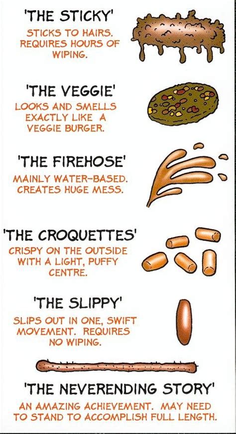 Different types of POOP pt. 2