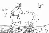 Sower Seed Parable Coloring Page For Kids Sketch sketch template