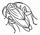 Free Printable Cockroach Coloring Pages For Kids sketch template