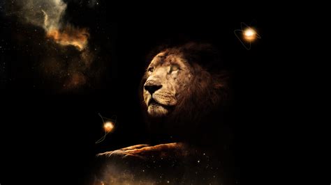 Lion Wallpaper HD by Tooyp on DeviantArt