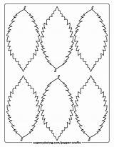 6 Leaves Of Elm Template  Free Printable Papercraft Templates sketch template