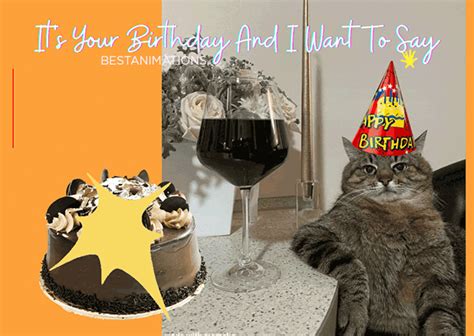 Birthday Wishes Happy Birthday Cat Gif Johanna Stake - vrogue.co