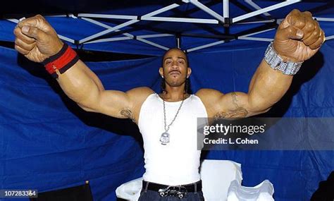 1,747 Ludacris 2004 Stock Photos, High-Res Pictures, and Images - Getty Images