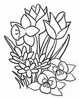Free Printable Flower Coloring Pages For Kids  Best sketch template