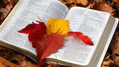 Autumn leaves and Bible verses | Guideposts