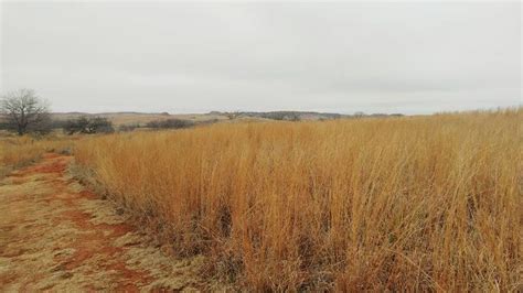 Black Kettle National Grassland | TravelOK.com - Oklahoma's Official ...