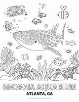 Aquarium Coloring Pages Best For Kids  Vrogueco sketch template