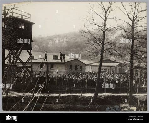 Releasing a prisoner of war camp; 1945 Stock Photo - Alamy