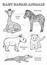 Baby Safari Animals Coloring Pages  Etsy sketch template