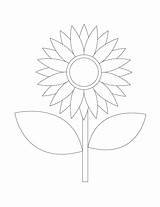 Sunflower Coloring Pages  ColoringLib sketch template