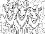Color The Story Three Billy Goats Gruff  Coloring Page sketch template