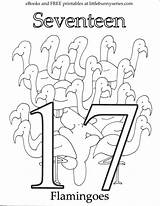 Number 17 Coloring Pages sketch template
