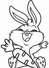 Baby Bunny Coloring Pages  Home sketch template