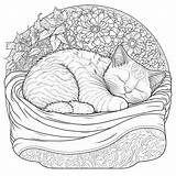 77 Cute Cat Coloring Pages For Kids And Adults  Our Mindful Life sketch template