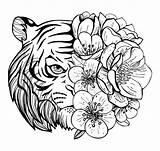 200  Coloring Pictures Wallpaperscom sketch template