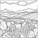 Vineyard Coloring Pages – corner sketch template