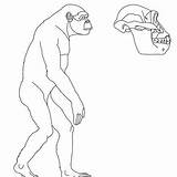 AUSTRALOPITHECUS coloring Pages  4 PREHISTORY Books For Kids sketch template