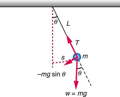 16.4 The Simple Pendulum – College Physics: OpenStax