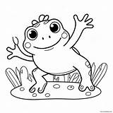 Cute Frog Jumping Coloring Page 48934 38716 sketch template