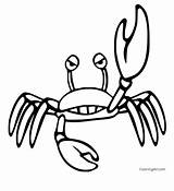 25 Free Crab Coloring Pages For Kids And Adults  Blitsy sketch template